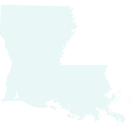 Louisiana state in light blue